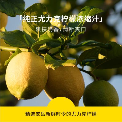 「乳酸菌纯奶啤」缪可MIOK 奶啤 330ml/罐 原味/柠檬味 ≤0.5%vol 原浆鲜啤 浓郁奶香 解辣解腻 清新爽口 商品图11