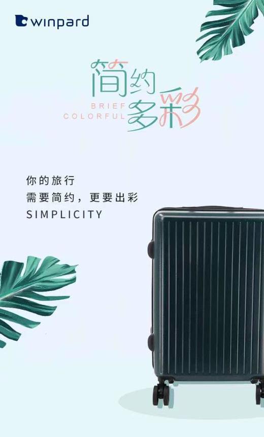 威豹28828-24 24寸商务拉杆箱 商品图0