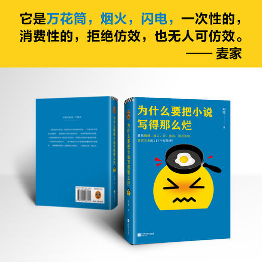 为什么要把小说写得那么烂 商品图4