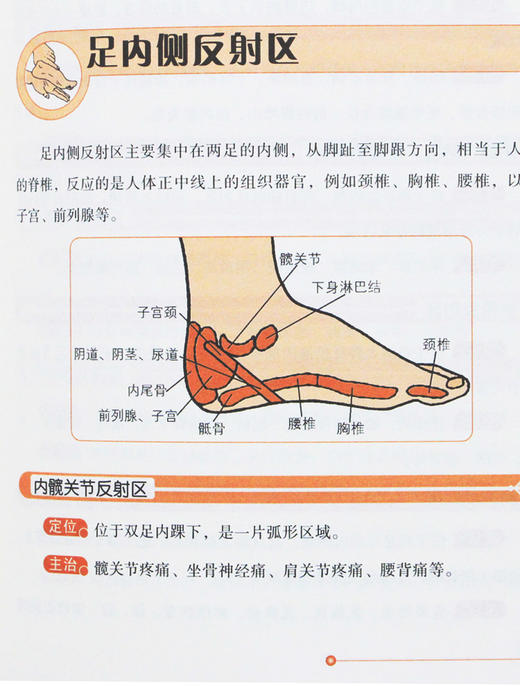 中医足部足疗穴位按摩书籍大全正版养生先养脚中药泡脚中医足疗按摩足浴书籍足底反射疗法书籍足疗经络穴位书足底疗泡脚书籍大全 商品图3