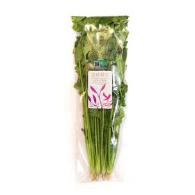 有机香菜（50g）