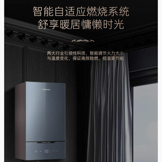 卡萨帝（Casarte）壁挂炉L1PB30-CL7(T)U1 商品图4