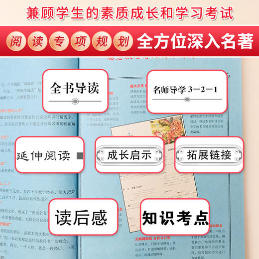 (仓发) 西游记 快乐读书吧五年级推荐课外阅读 四大名著红楼梦青少版小学生版  无障碍阅读 小学生课外阅读书 有习题/时代文艺出版社/[明]吴承恩/9787538768220 商品图7