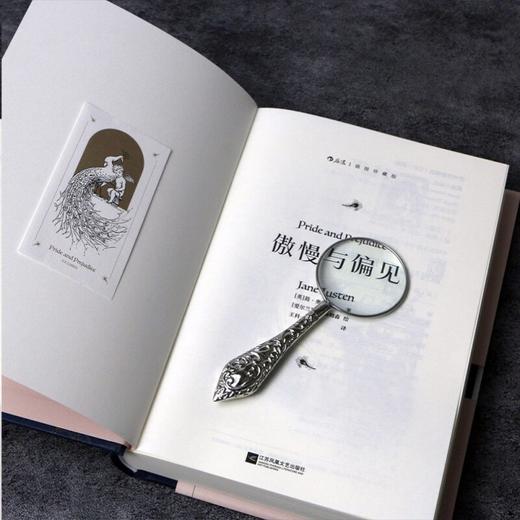 傲慢与偏见 插图珍藏版 简·奥斯丁 著 小说 商品图1