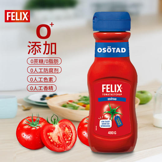 菲力斯0蔗糖0脂肪原味番茄沙司480g 商品图1