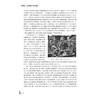 写意精神与当代视域--宋永进写意油画实践论及当代美术批评/浙江大学出版社/宋永进/责编:傅百荣/中国当代写意油画研究 商品缩略图2