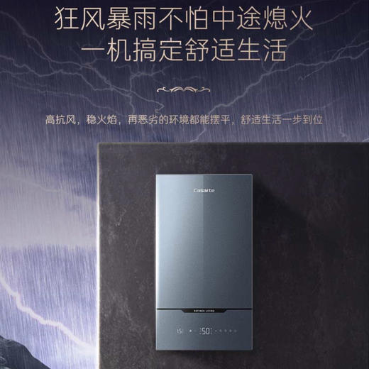 卡萨帝（Casarte）壁挂炉L1PB30-CL7(T)U1 商品图8