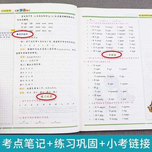 (仓发) 小学学霸笔记 英语（赠送配套练习+参考答案）一二三四五六年级  全套知识大全小升初总复习资料/云南美术出版社/五彩绳研究室/9787548944447 商品图4
