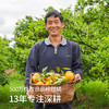 0添加 国产NFC橙汁天花板 只取头道初榨汁 不选用落果和坏果 可冷藏 可加热 不加水不加糖 商品缩略图3