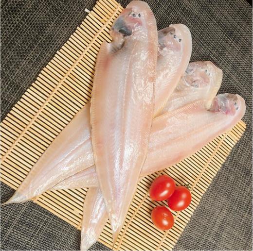 富饶海 舌头鱼2条 【中】 商品图0