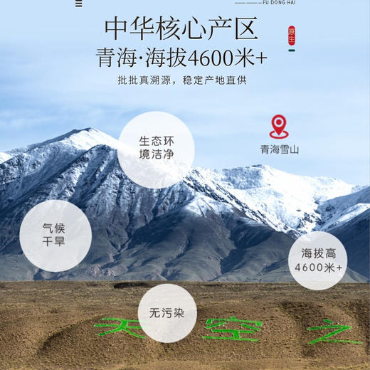 福东海 冬虫夏草10克 甄选高海拔冻干虫草 全虫断草 高洁净礼盒滋补品 商品图4