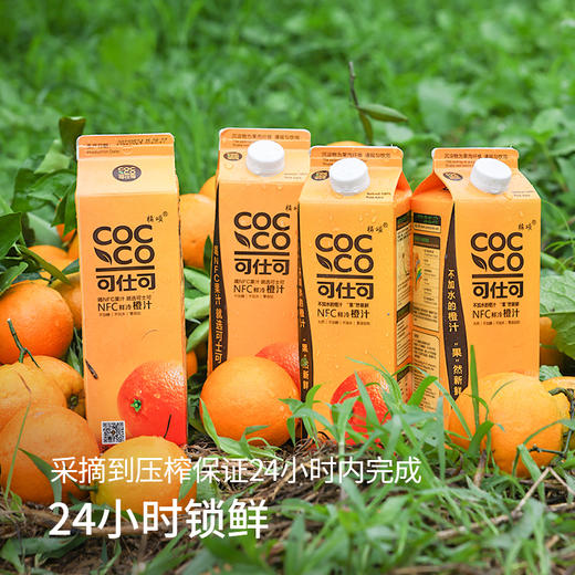 0添加 国产NFC橙汁天花板 只取头道初榨汁 不选用落果和坏果 可冷藏 可加热 不加水不加糖 商品图2