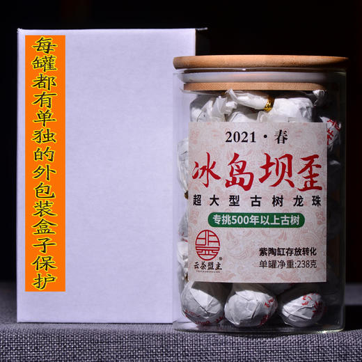 【15:00限时回馈】【震撼品！】【冰岛坝歪-大单株！】喝到茶气爆棚，香气饱满，滋味足足！冰糖甜进心眼里！高端款！ 商品图0