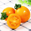 阳瑞有机番茄（黄）500g/盒 商品缩略图2