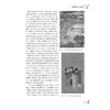 写意精神与当代视域--宋永进写意油画实践论及当代美术批评/浙江大学出版社/宋永进/责编:傅百荣/中国当代写意油画研究 商品缩略图1