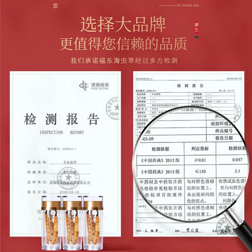 福东海 冬虫夏草10克 甄选高海拔冻干虫草 全虫断草 高洁净礼盒滋补品 商品图3