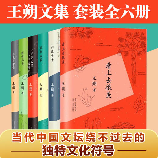 王朔归来《起初·纪年》，重磅新书，一上线就爆卖20万册！ 商品图6