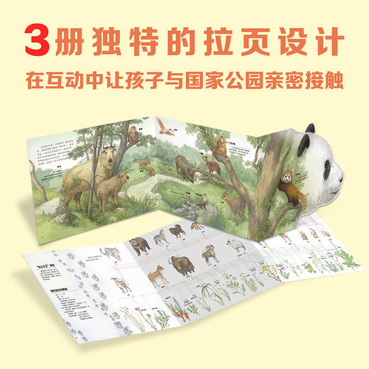 《中国国家公园》全3册，115种植物，200+知识点，桂冠童书大奖团队打造！ 商品图5