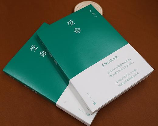 (仓发) 受命 止庵著【赠绿茶手绘地图】人民文学出版社/人民文学出版社/止庵/9787020169832 商品图2