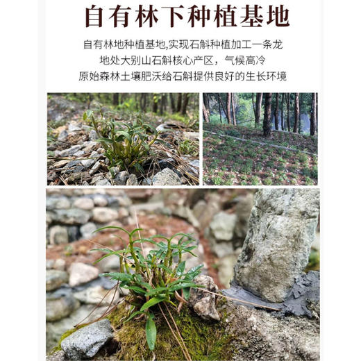 【每日食养】霍山石斛礼盒装 10克*4瓶 商品图1