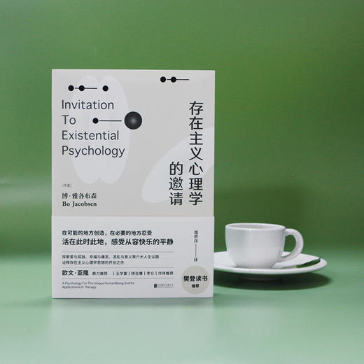 存在主义心理学的邀请：自省疗愈手册心理学书籍 商品图7