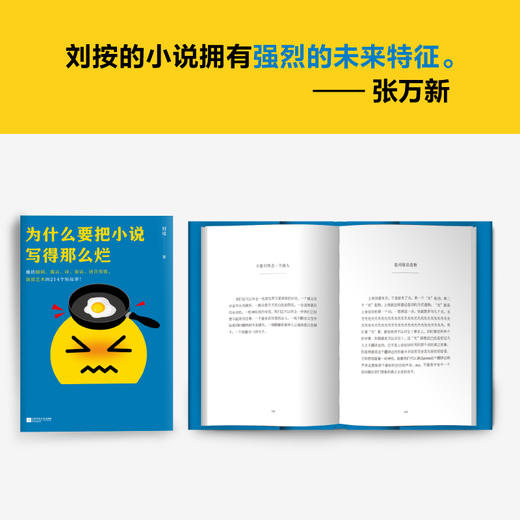 为什么要把小说写得那么烂 商品图6