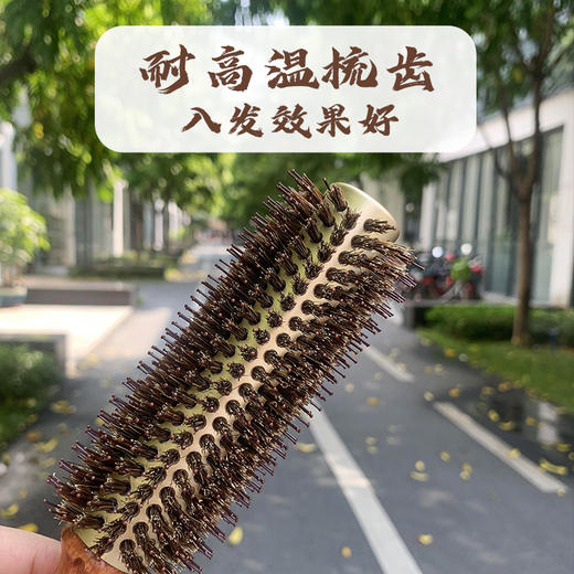 猪鬃毛滚梳 卷发梳内扣理发店男女吹造型发廊专用梳 商品图1