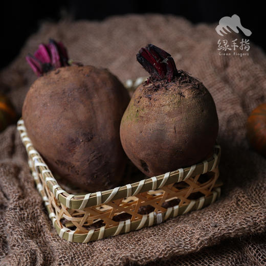 有机甜菜根 |合作生产*Organic Beetroot | Coproduction 商品图1
