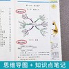 (仓发) 小学学霸笔记 英语（赠送配套练习+参考答案）一二三四五六年级  全套知识大全小升初总复习资料/云南美术出版社/五彩绳研究室/9787548944447 商品缩略图3
