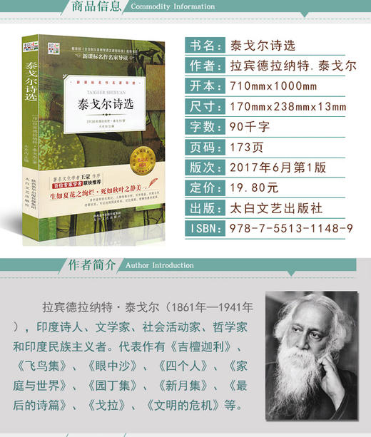 泰戈尔诗选 核心阅读 新课名作名家导读 笔记式阅读文学经典 初三九年级上册上学期 语文配套 商品图1