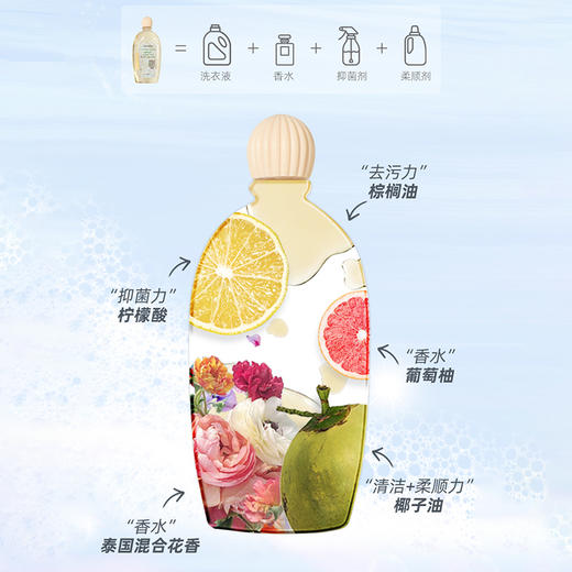 【芝芙莲内衣洗衣液】【血污克星】芝芙莲内衣清洗液500ML  祛菌消毒泰国家用男士内裤洗衣液女士专用冼衣液 温和弱酸精油型清洗剂 商品图9