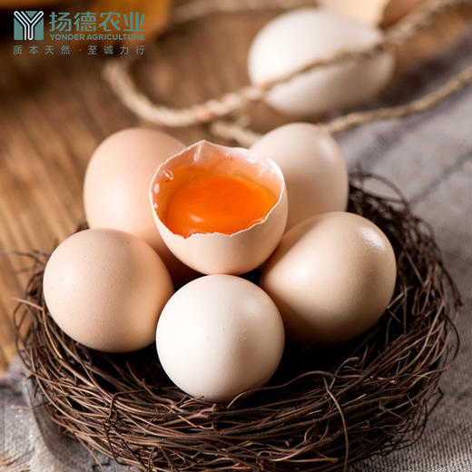 【爆品需排队，预计2天左右发货】扬德林下土鸡蛋 商品图2
