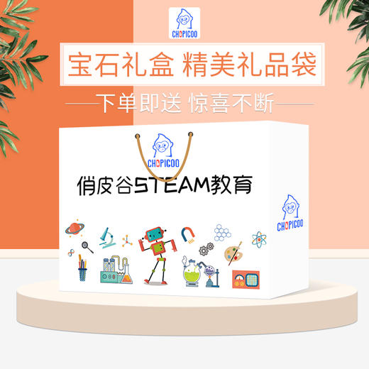 【畅游宝石王国 矿石标本100颗】CHOPIGOO俏皮谷天然水晶矿石标本礼盒 成就小小地质家 打造宝石博物馆 商品图5