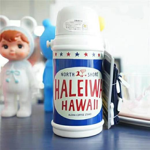日本Haleiwa哈雷蛙双盖保温杯600ml 直饮盖＋中枢盖(三种颜色） 商品图3