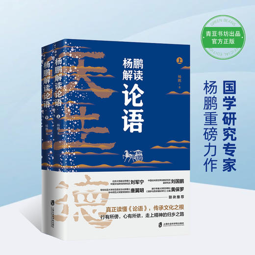 杨鹏解读《论语》 商品图0
