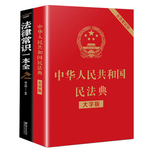 中华人民共和国民法典（大字版）+法律常识一本全（全2册）常识普及读物图书 商品图1