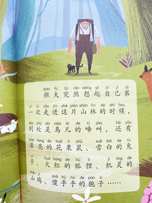 【板牙】金色少年系列 2022年，2023年随机4本 商品图3