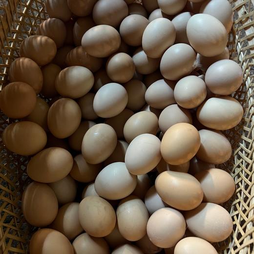 本地 散养土鸡蛋 （不吃饲料）（30枚） 商品图8