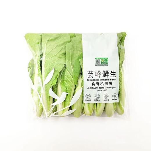 有机杭白菜（250g） 商品图0