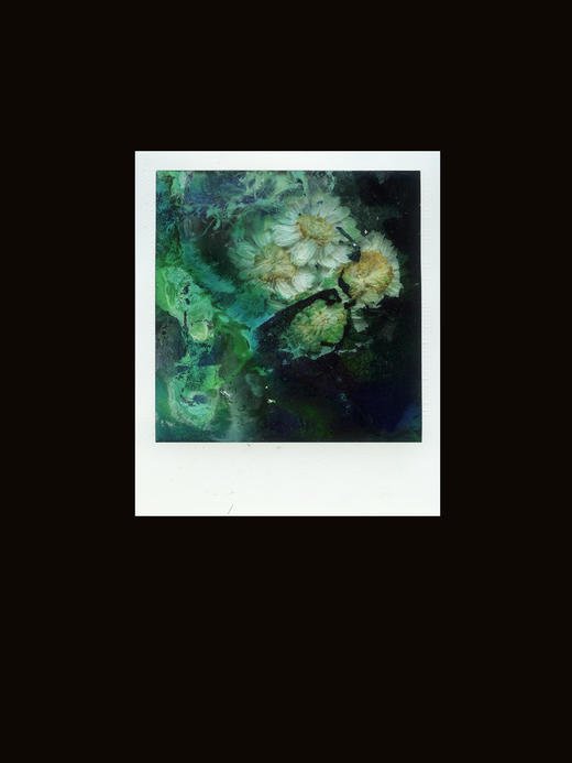 宝丽来移膜工坊 商品图4