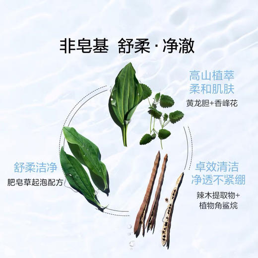 娇韵诗舒柔保湿氨基酸洁面乳棉花籽洗面奶125ml 商品图1