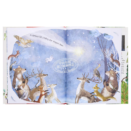 【中商原版】Yuval Zommer The Tree That'S Meant To Be那棵注定的树儿童绘本 商品图4