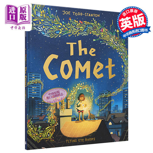 预售 【中商原版】2023卡内基插画奖 Joe Todd-Stanton 彗星 The Comet 英文原版 进口图书 获奖名家儿童绘本 故事图画书 3-5岁 商品图0