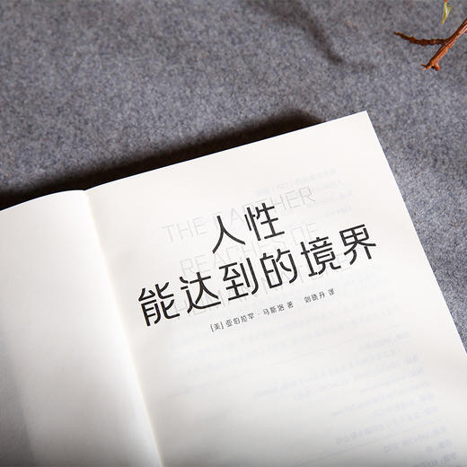 人性能达到的境界 商品图5