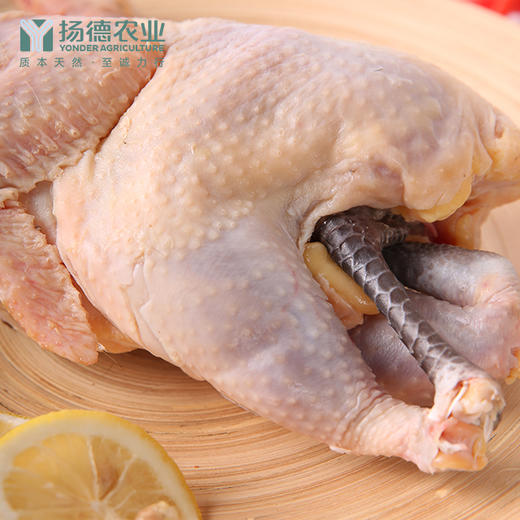 【口碑爆品，欢迎品鉴】扬德林下土鸡（1000g/只） 商品图1