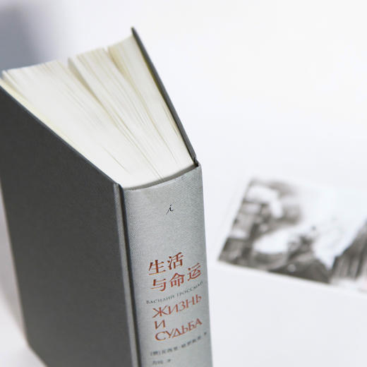 (仓发) 生活与命运（瓦西里·格罗斯曼 外国文学）/四川人民出版社/[俄]瓦西里·格罗斯曼/9787220116629 商品图2
