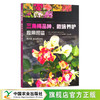 三角梅品种、栽培养护应用图鉴 黄素荣,陈金花 园艺 花卉 花木 梅花 寒梅 园林 29280 商品缩略图0