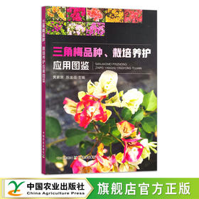 三角梅品种、栽培养护应用图鉴 黄素荣,陈金花 园艺 花卉 花木 梅花 寒梅 园林 29280