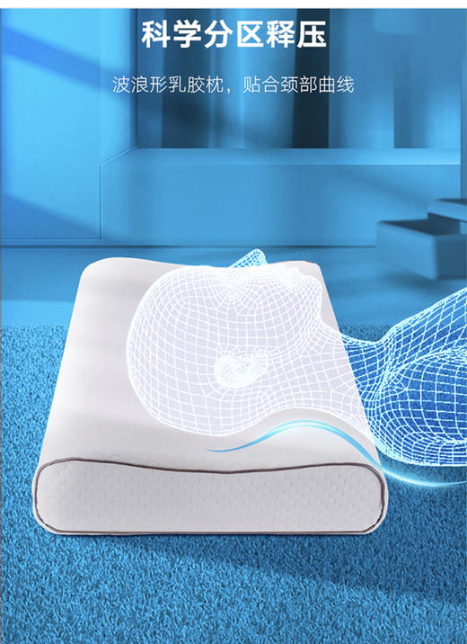 大众乳胶枕 商品图4