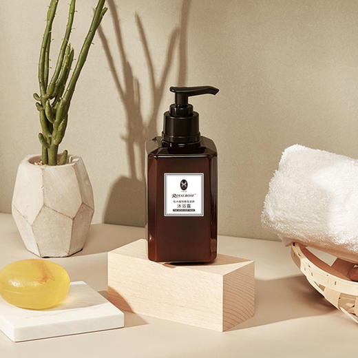 维也纳5.0 松木植物香氛滋养 沐浴露 商品图1